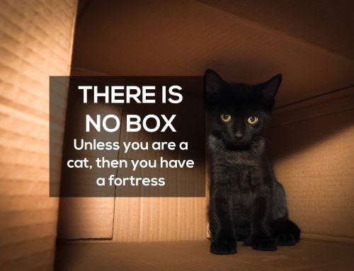 There is no box